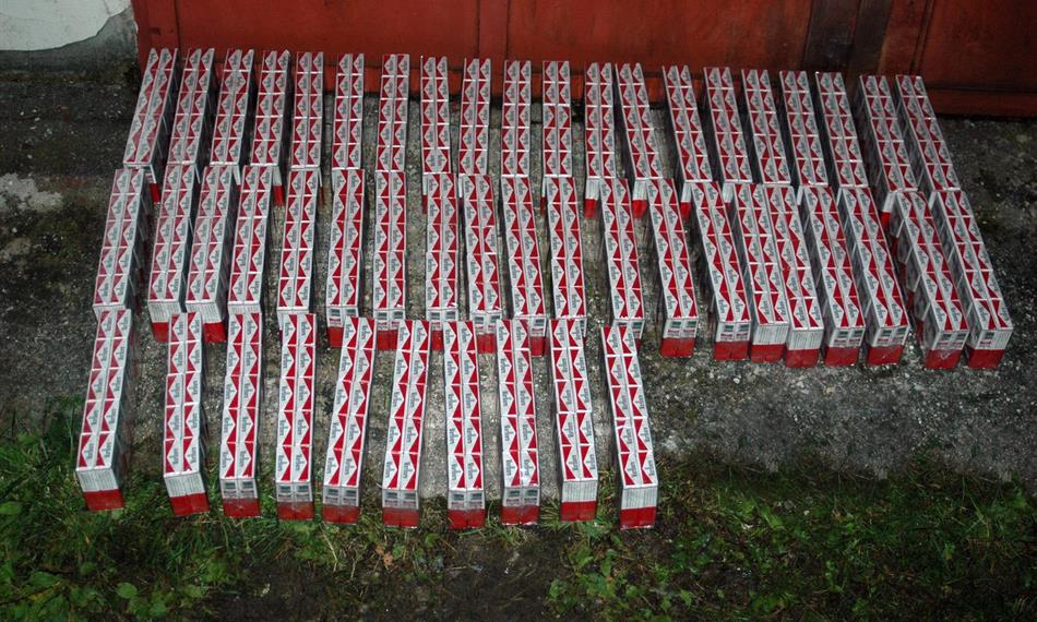 2011-8-19-838Lostris 7.JPG